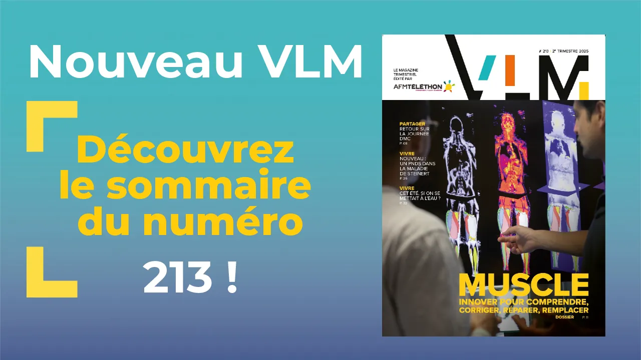 VLM 213