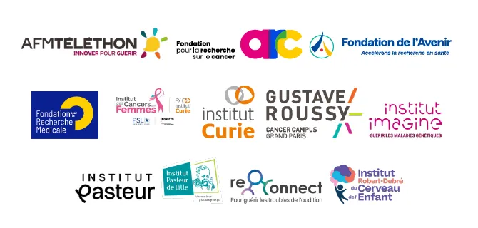 CP_Rapport-IGF-IGESR_VISUEL_250707