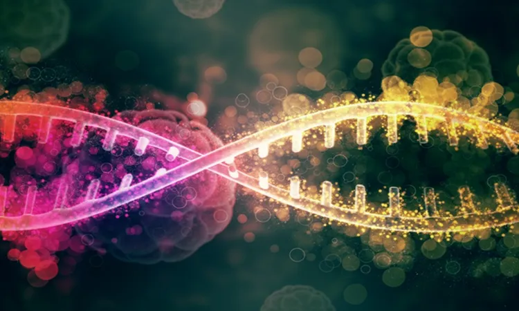 Vignette - Double brin d'ADN