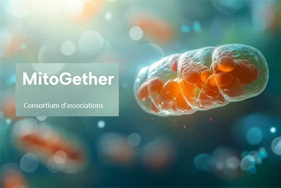 Constitué sous l’impulsion de l’AFM-Téléthon, MitoGether est un consortium d’associations françaises de personnes concernées par les maladies mitochondriales primaires.
