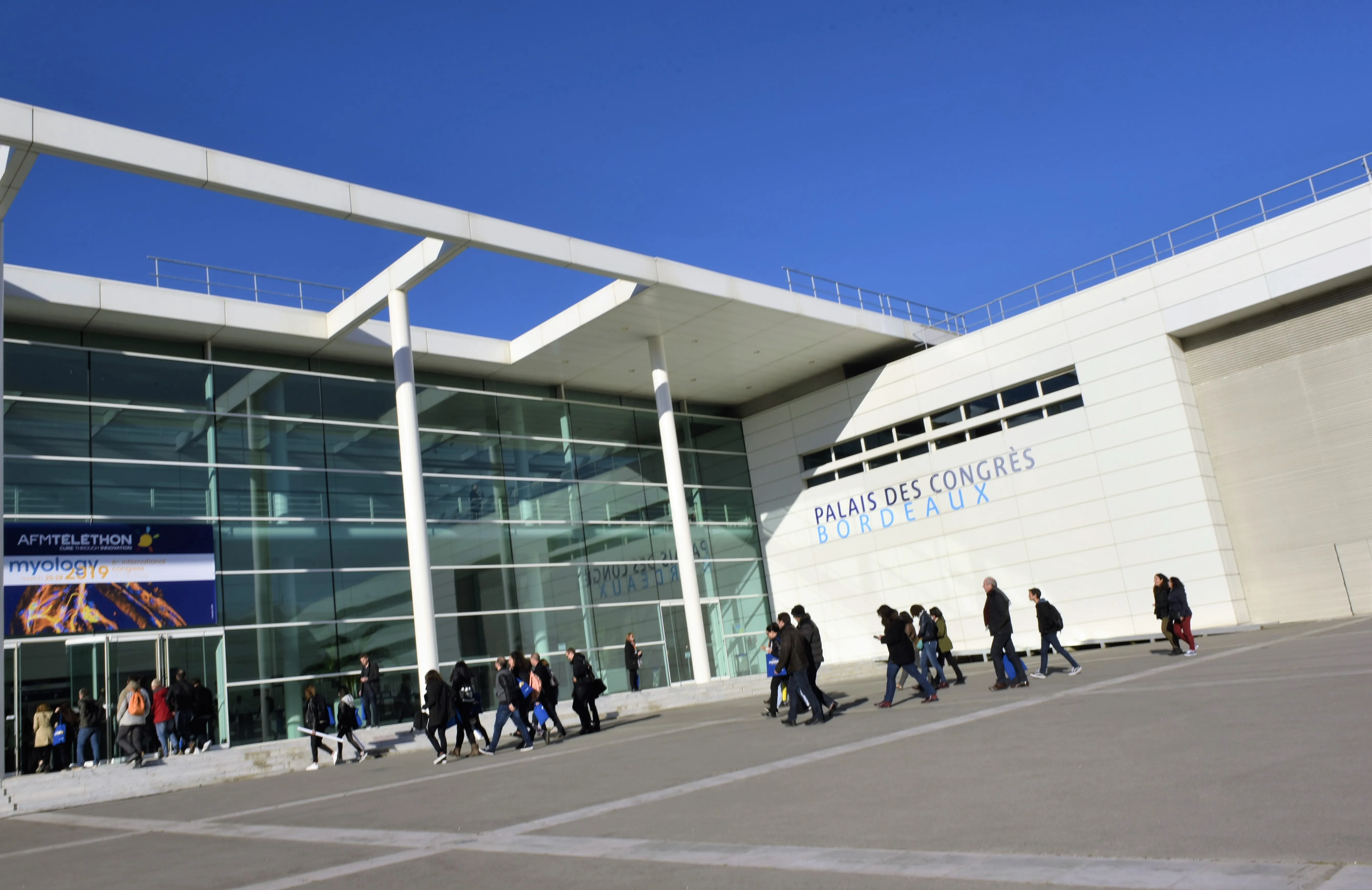 Myology 2019 jeunes chercheurs