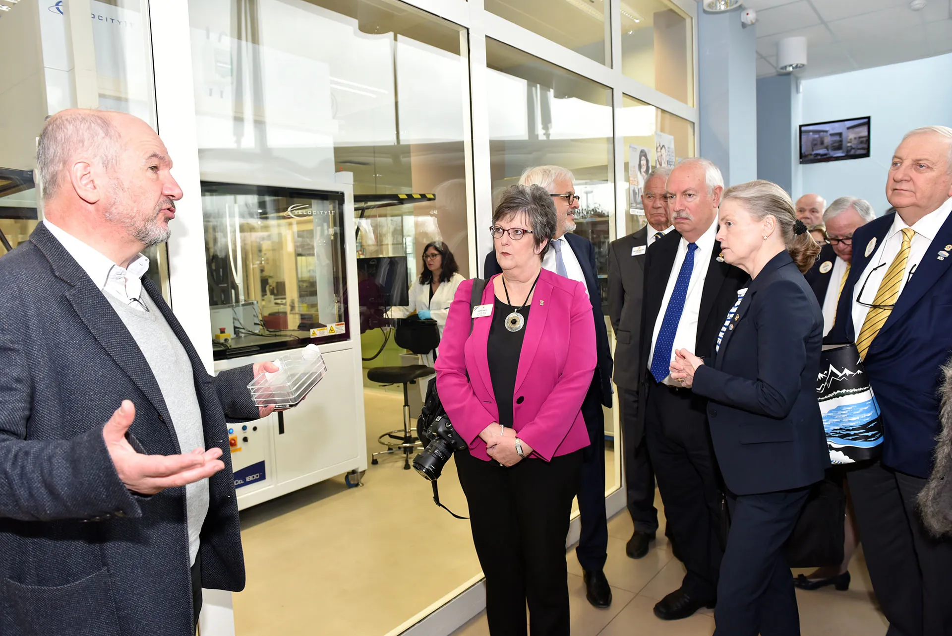 visite lions