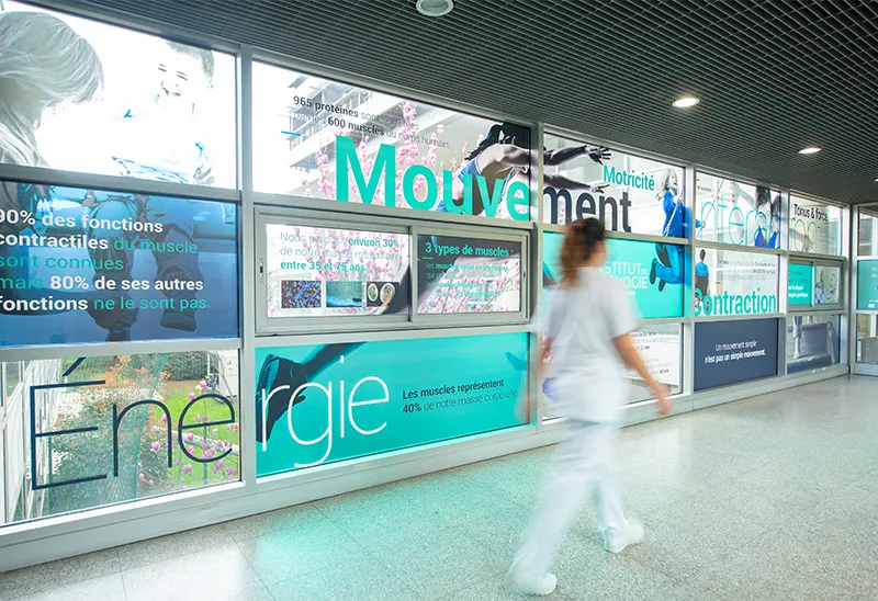 Institut de myologie