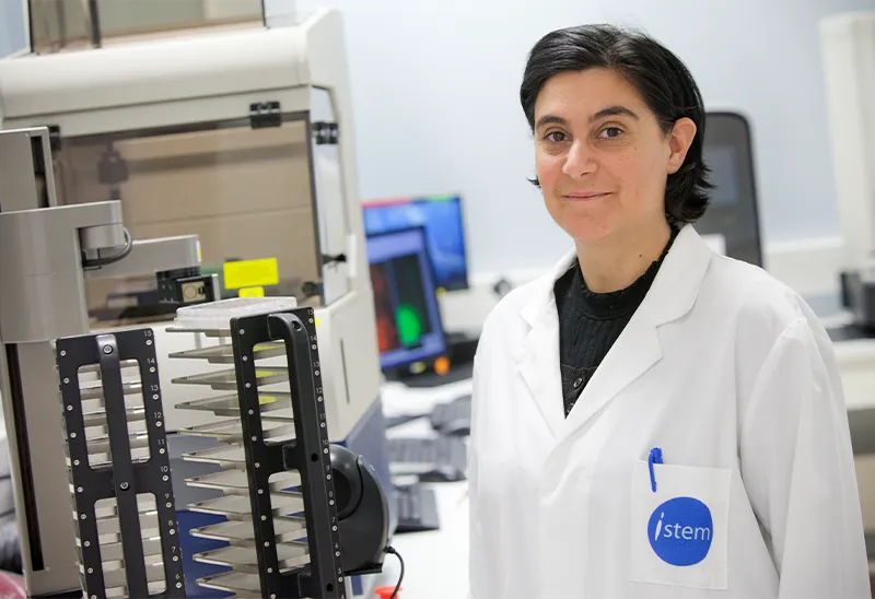 I-stem équipe phelan mc dermid