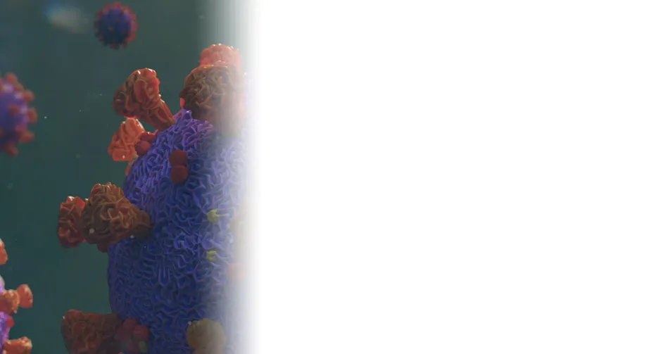 Page coronavirus