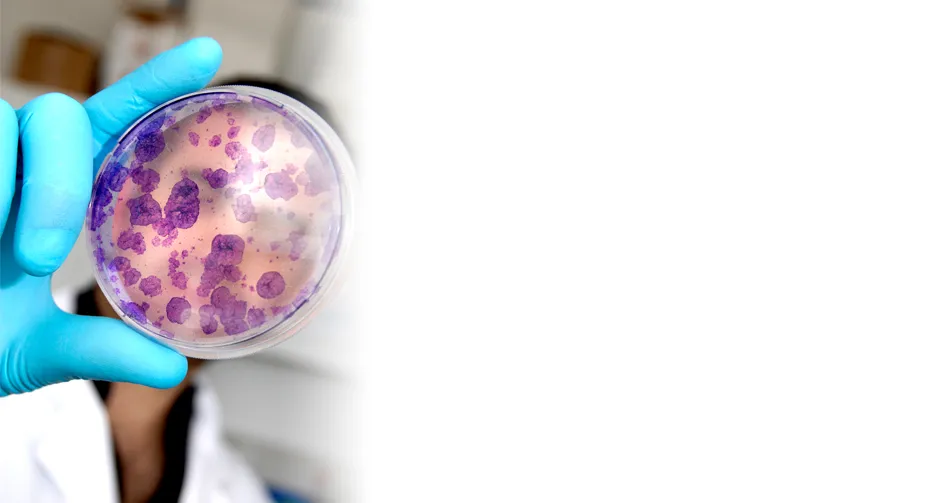 Guérir - Biothérapies et maladies fréquentes - AFM-Téléthon