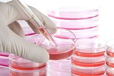 LGMD R1 : une nouvelle approche de thérapie cellulaire | AFM Téléthon