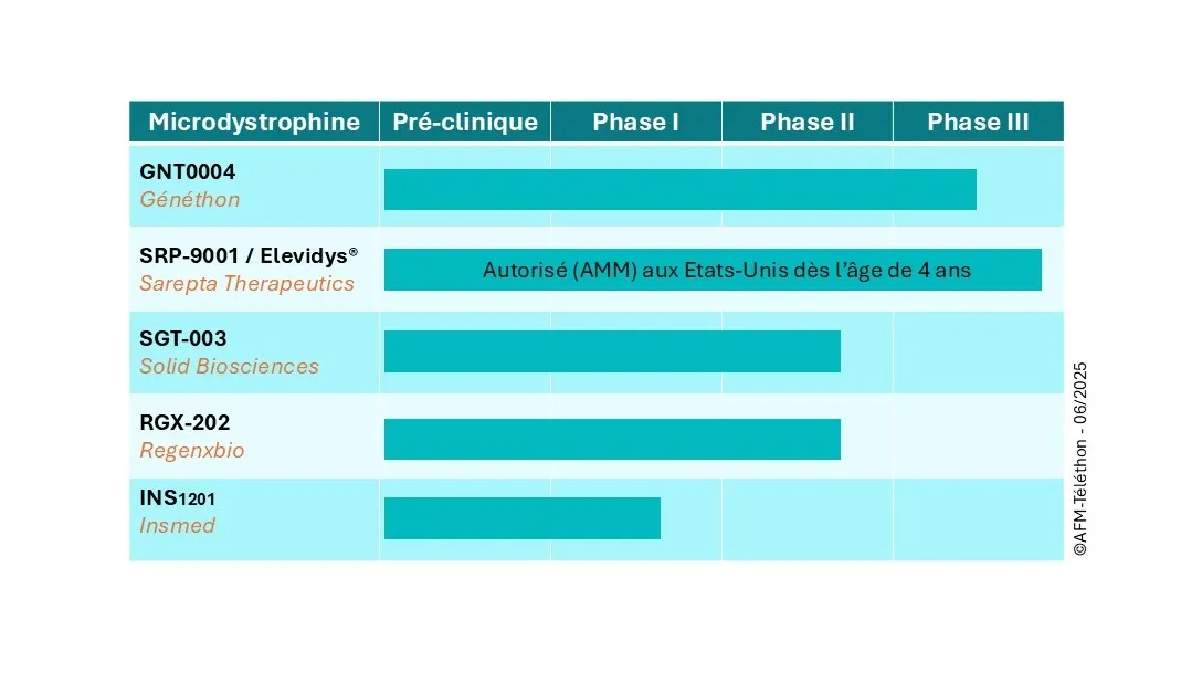 liste des 5 microdystrophines en essais cliniques dans la DMD