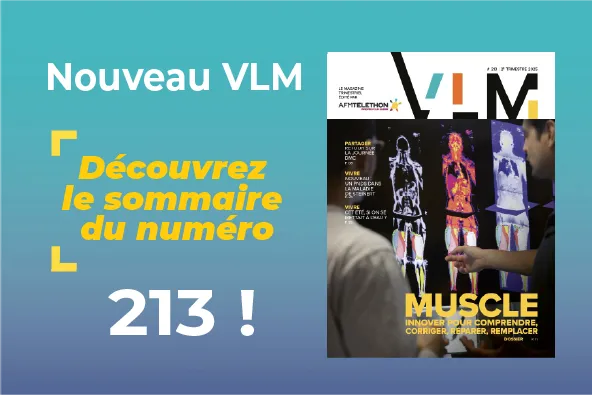 VLM 2132