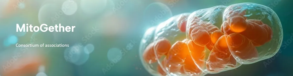 MITOGETHER 