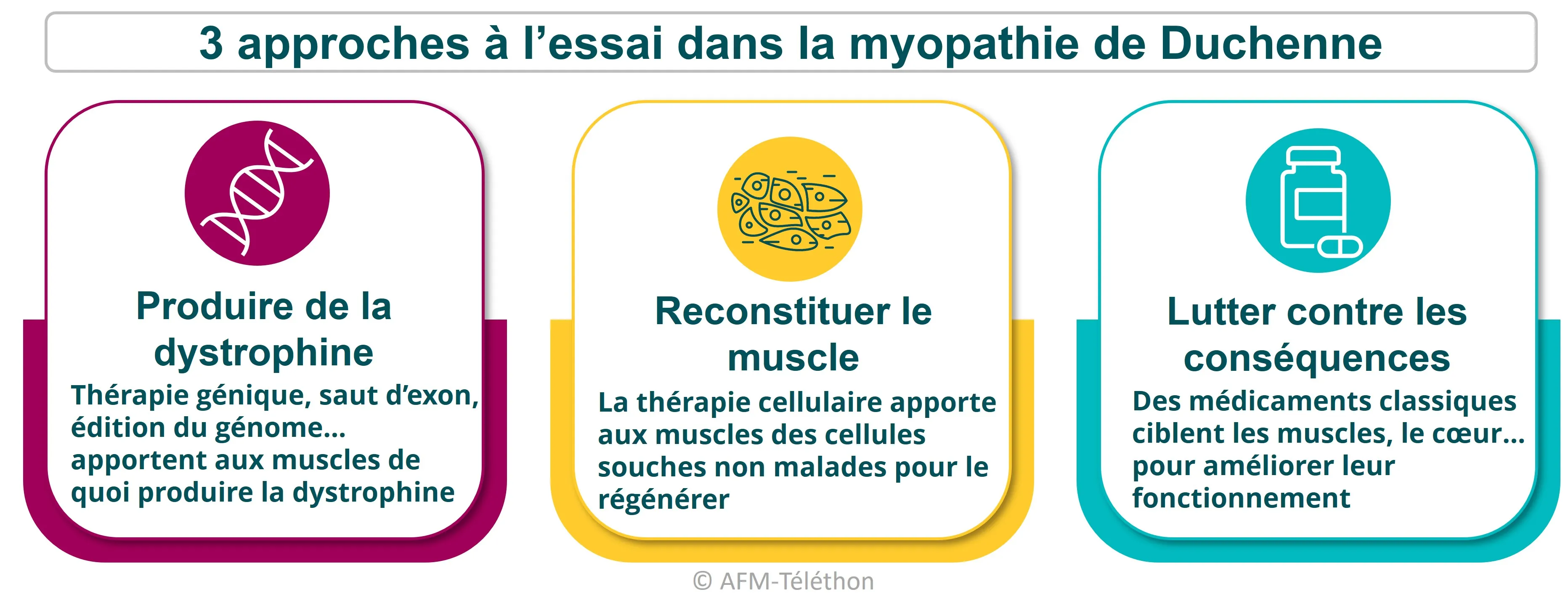 Les approches thérapeutiques à l'essai dans la dystrophie musculaire de Duchenne