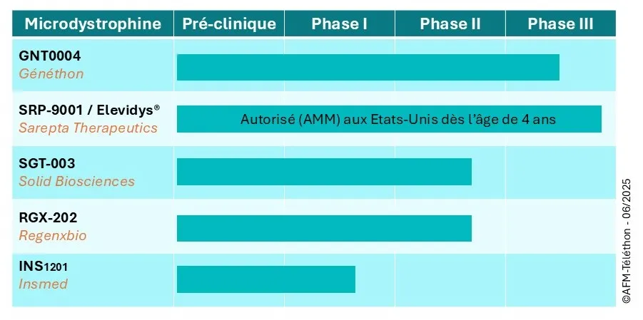 Les Cinq microdystrophines à l'essai dans la DMD