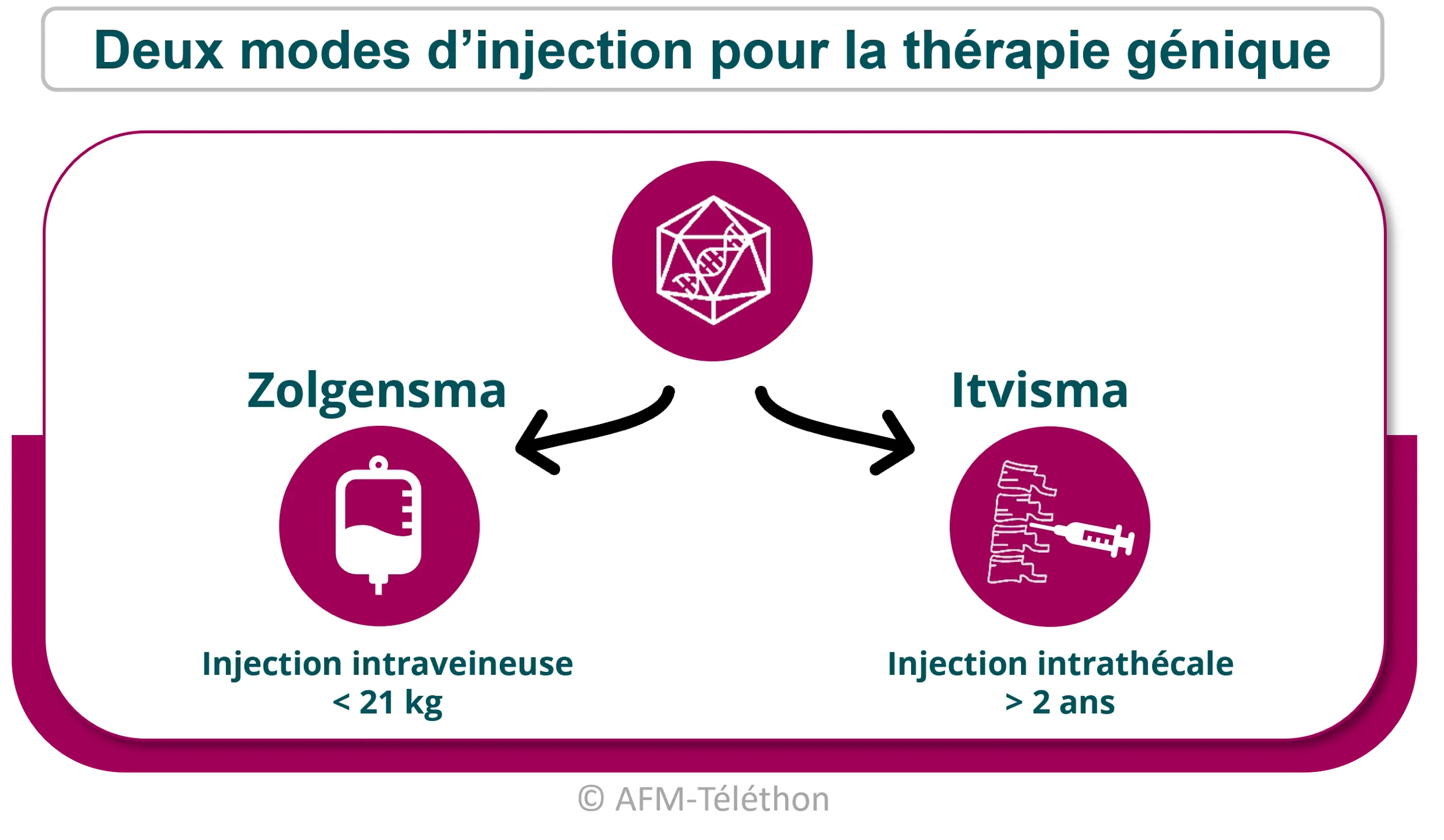 Infographie - Deux modes d'injection pour la thérapie génique : Zolgensma (injection intraveineuse inférieur à 21 kg) et Itvesma (injection intrathécale supérieur à 2 ans)