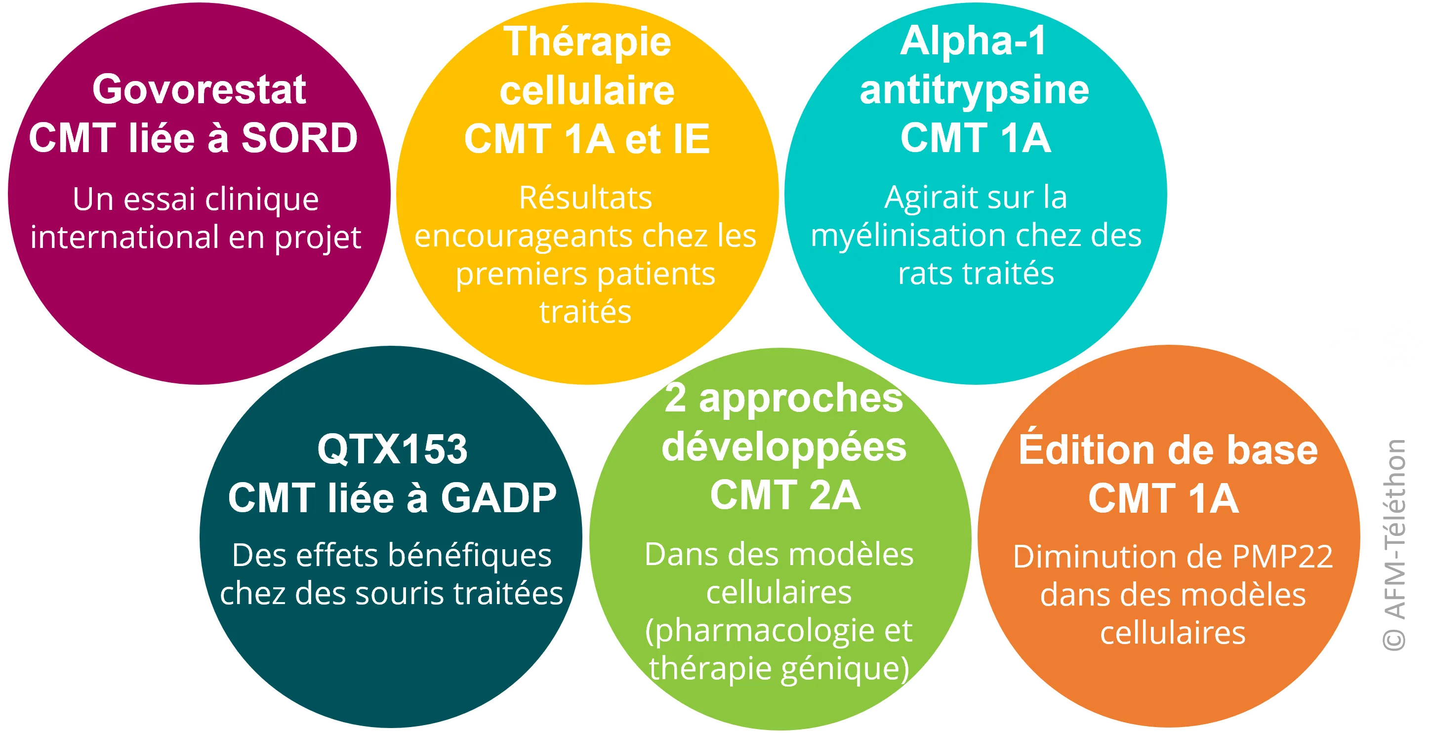 6 des pistes abordées : le govorestat à l'essai dans la neuropathie liée à SORD ; une thérapie cellulaire (EN001) à l'essai dans les CMT1A et 1E ; l’alpha-1 antitrypsin (ATT), une molécule évaluée chez des rats atteints de CMT 1A ; le QTX153, un inhibiteur d’HDAC6 testé chez des souris de CMT liée à GADP1 ; une approche pharmacologiqe et une approche de thérapie génique pour la CMT2A développées sur des modèles cellulaires et une approche par édition de base dans des cellules modèles de CMT1A.