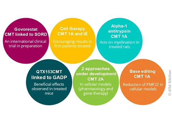 Six therapeutic avenues discussed include: Govorestat, currently being trialed for SORD-related neuropathy; a cell therapy (EN001) under investigation for CMT1A and 1E; alpha-1 antitrypsin (AAT), a molecule evaluated in CMT1A rat models; QTX153, an HDAC6 inhibitor tested in GADP1-related CMT mouse models; a pharmacological approach and a gene therapy approach for CMT2A developed in cellular models; and a base editing strategy tested in CMT1A cellular models.