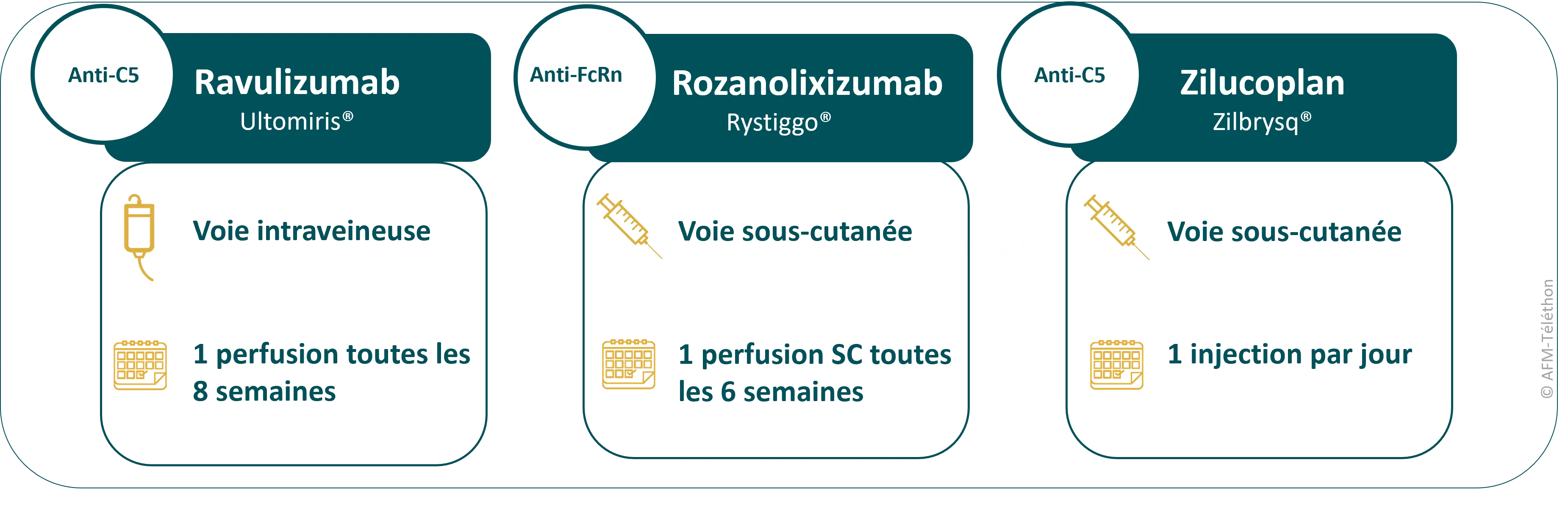 Infographie : Trois traitements de la myasthénie : ravulizumab (intraveineux toutes les 8 semaines), rozanolixizumab (sous-cutané toutes les 6 semaines) et zilucoplan (injection sous-cutanée quotidienne)