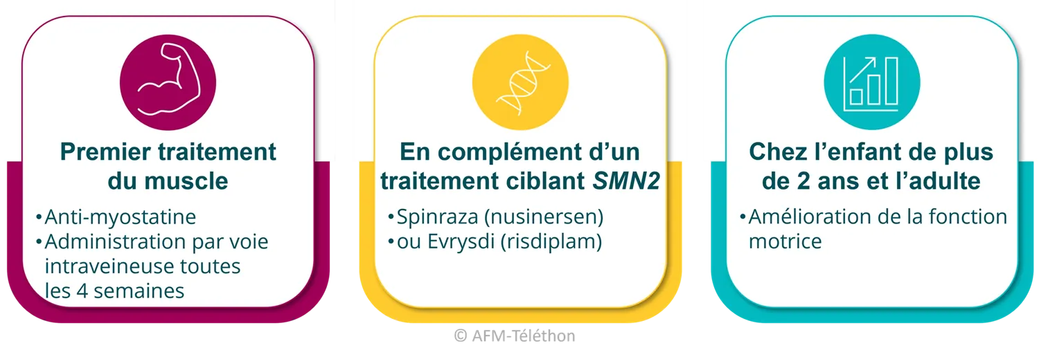 Infographie : Isembyld (apitegromab), premier traitement de la SMA ciblant le muscle, s’utilise en complément d’un traitement SMN2 chez les personnes de plus de 2 ans afin d’améliorer la fonction motrice.