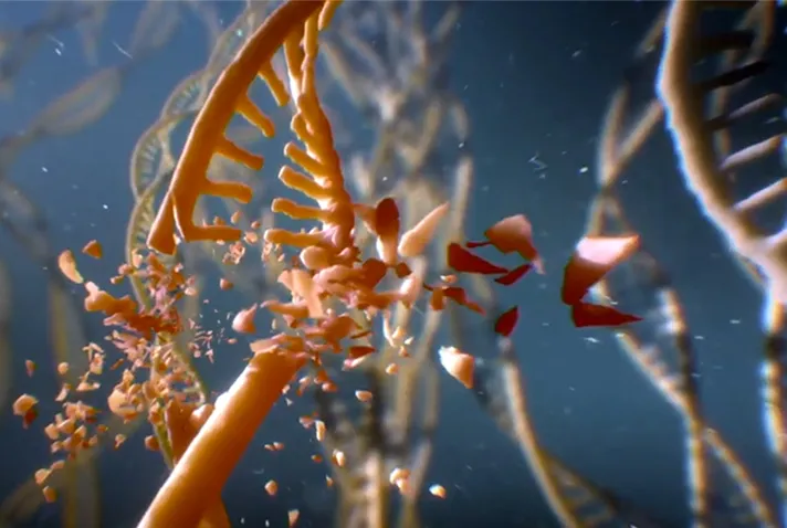 Dessin d'une double hélice d'ADN