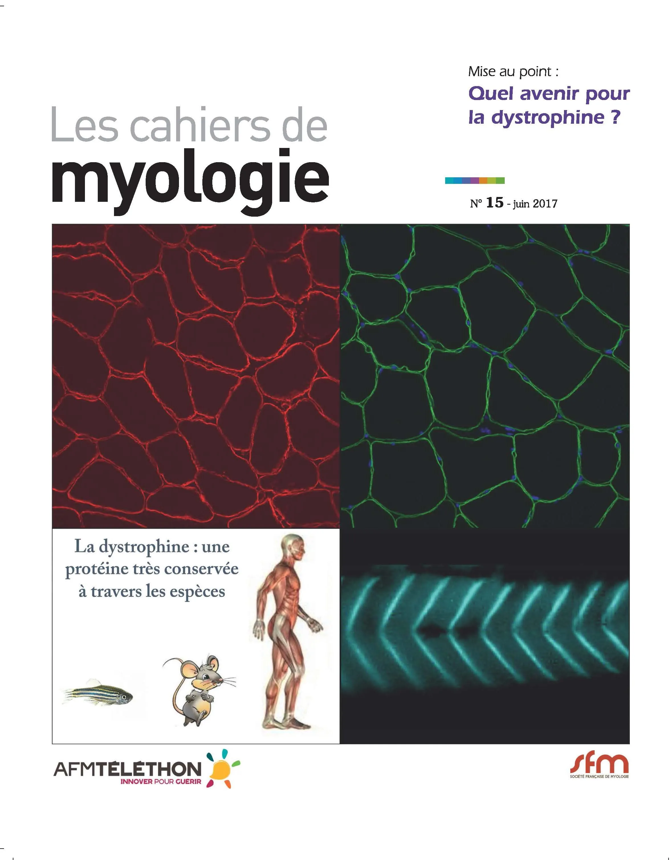 Couverture Cahiers de myologie n°15