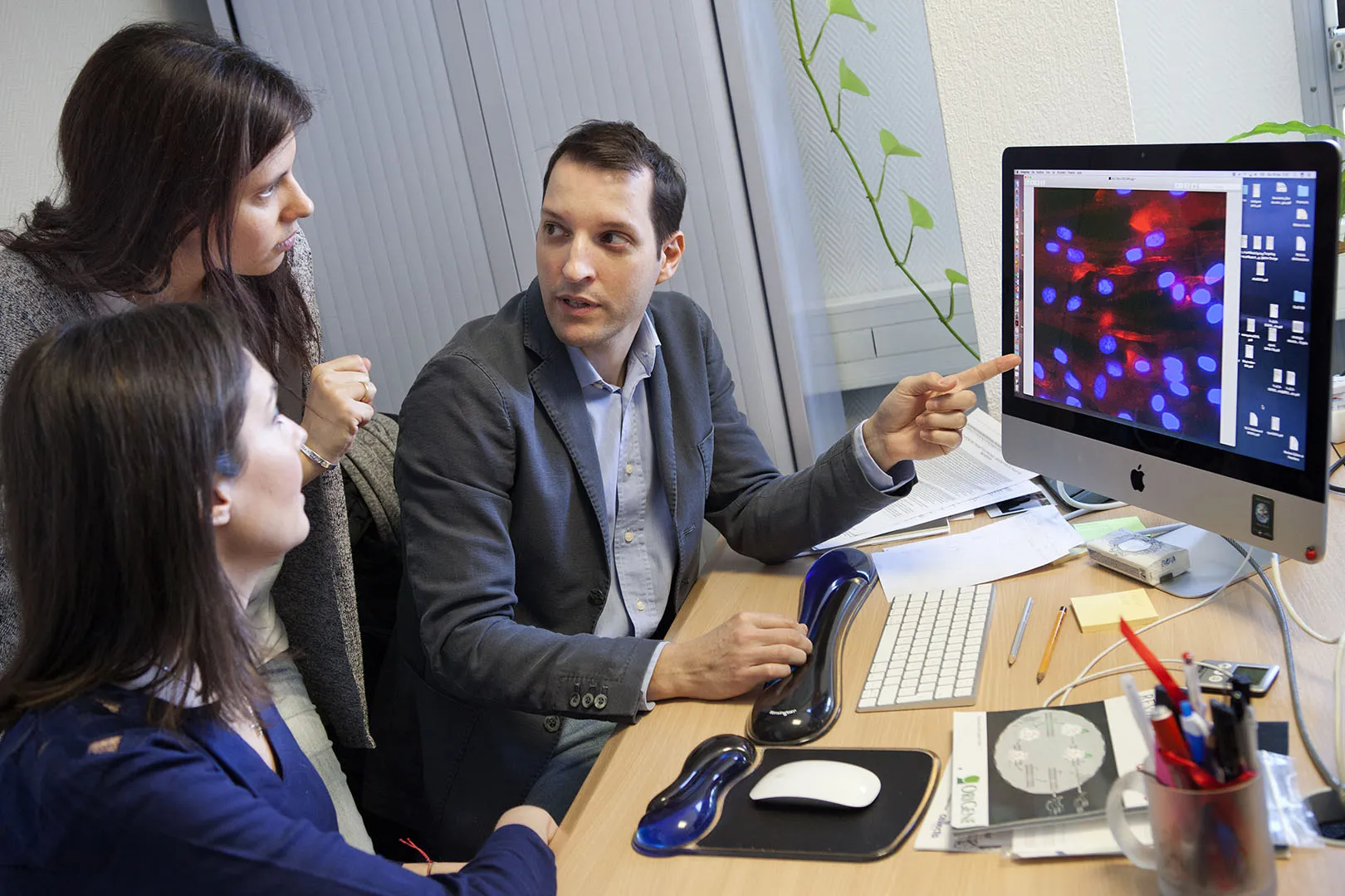 Duchenne et CRISPR-Cas9