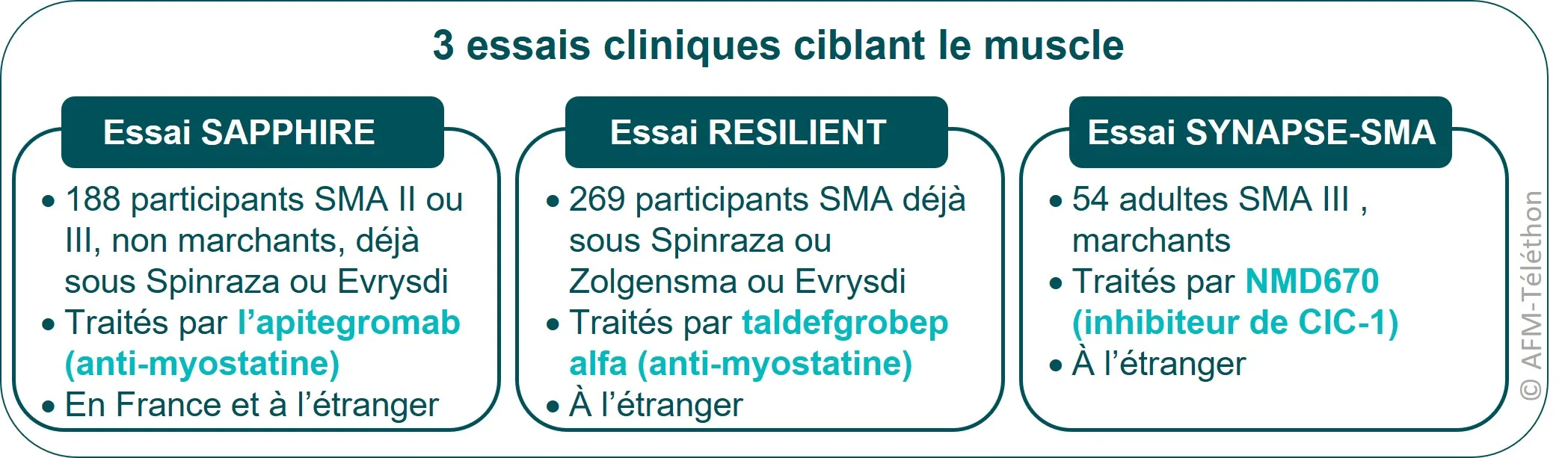 Infographie - 3 essais cliniques ciblant le muscle