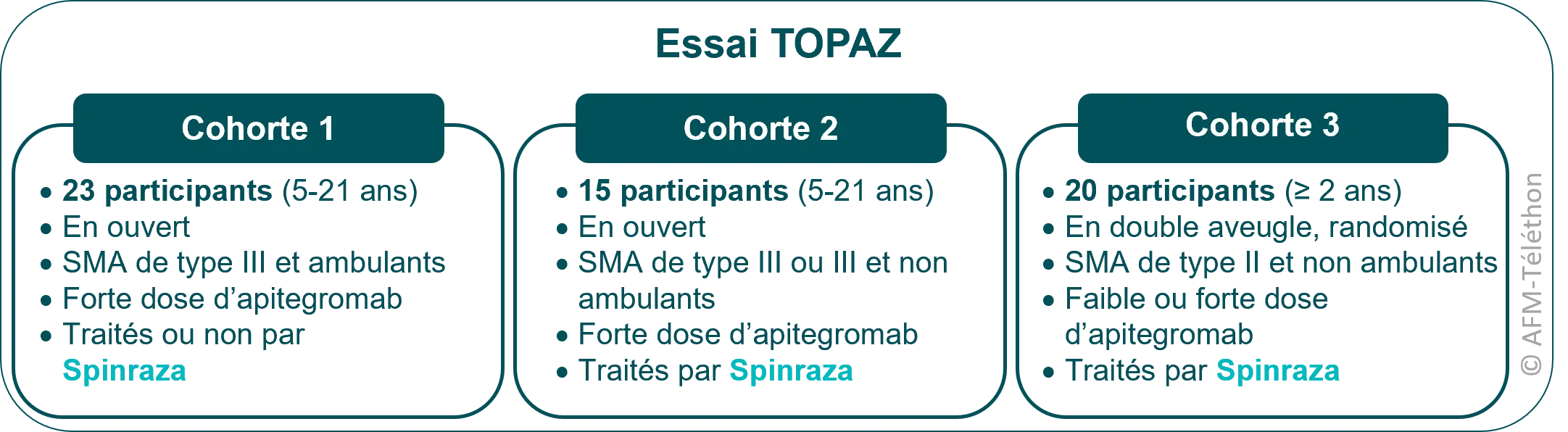 Infographie - Essai TOPAZ