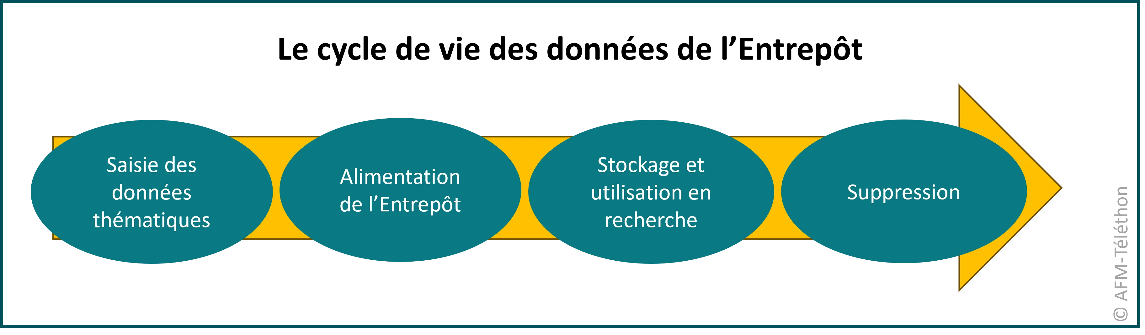 Infographie - Le cycle de vie des données de l'Entrepôt (Saisie des données thématiques / Alimentation de l'Entrepôt / Stockage et utilisation en recherche / Suppression)