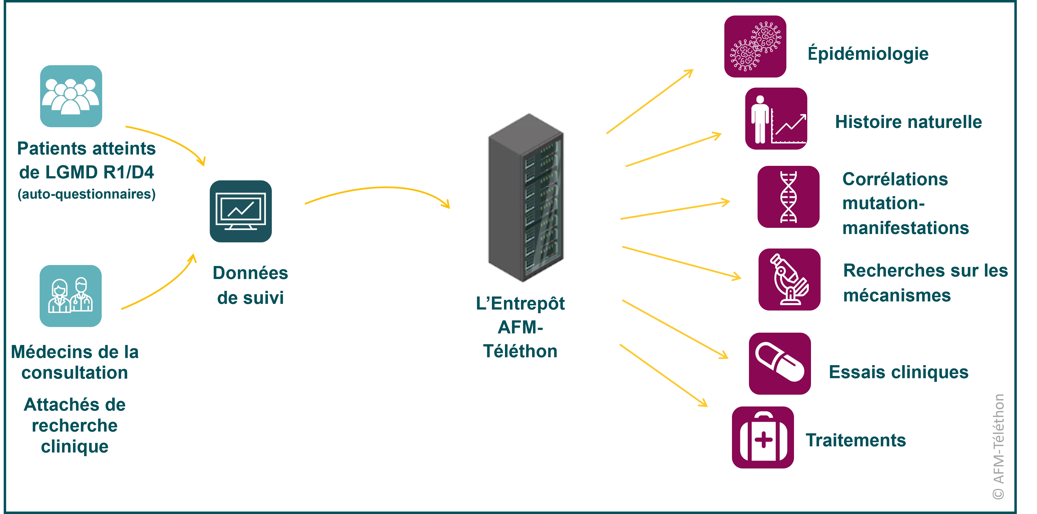 Infographie - Base de données Calpaïnopathies