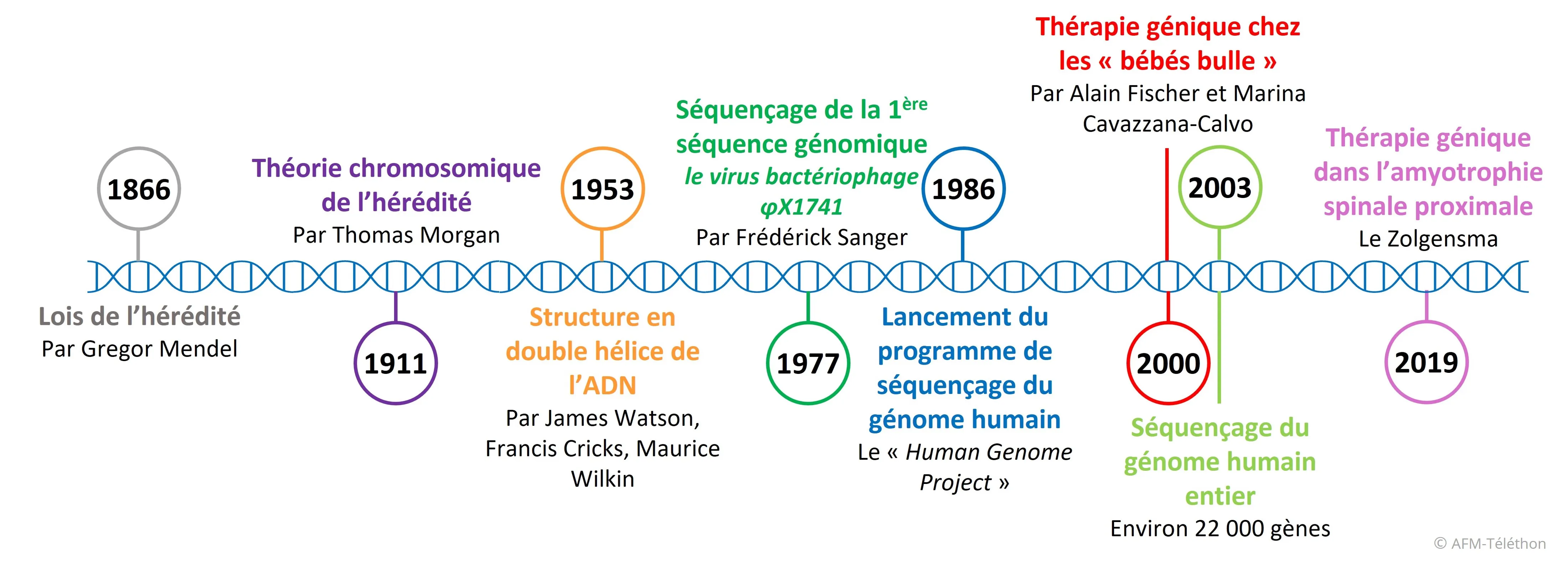 L'histoire de l'ADN en quelques dates