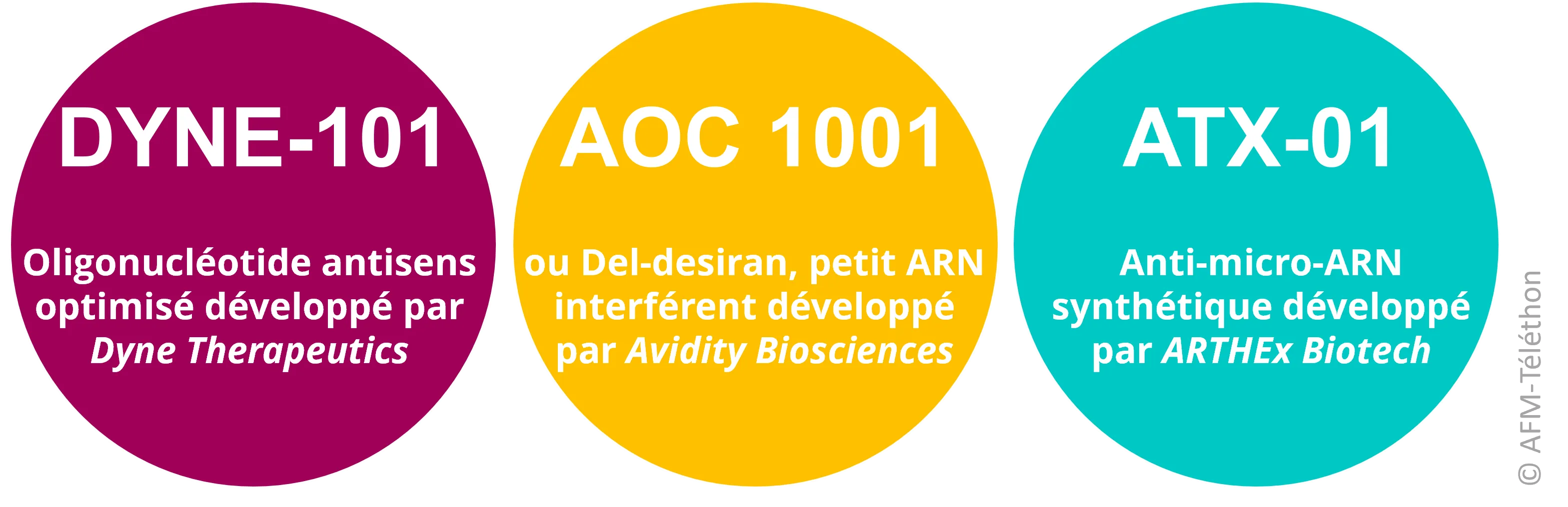 Infographie - 3 candidats médicaments : DYNE-101, AOC 1001 et ATX-01