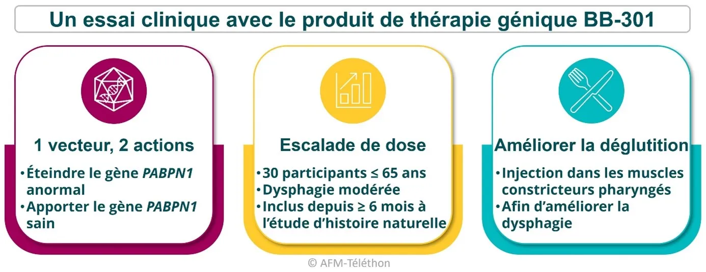 Infographie DMOP : Un essais clinique avec le produit de thérapie génique BB-301
