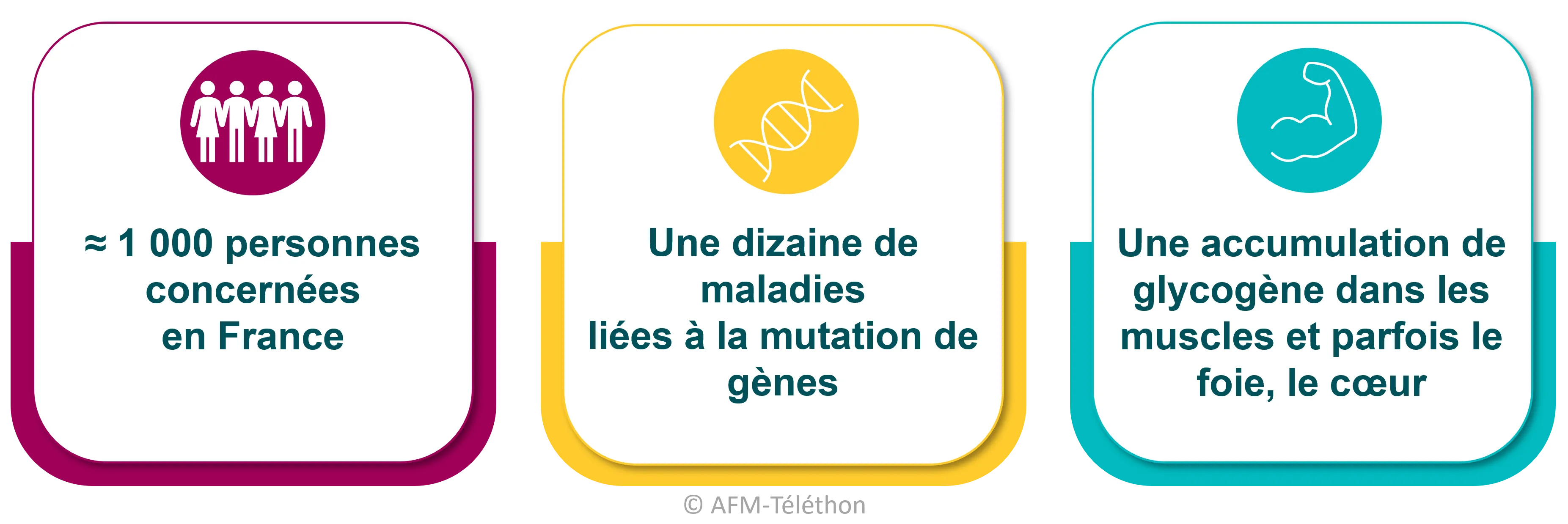 Infographie sur les Glycogénoses musculaires : Environ 1000 personnes concernées en France - Une dizaine de maladies liées à la mutation de gènes - Une accumulation de glycogène dans les muscles et parfois le foie, le coeur