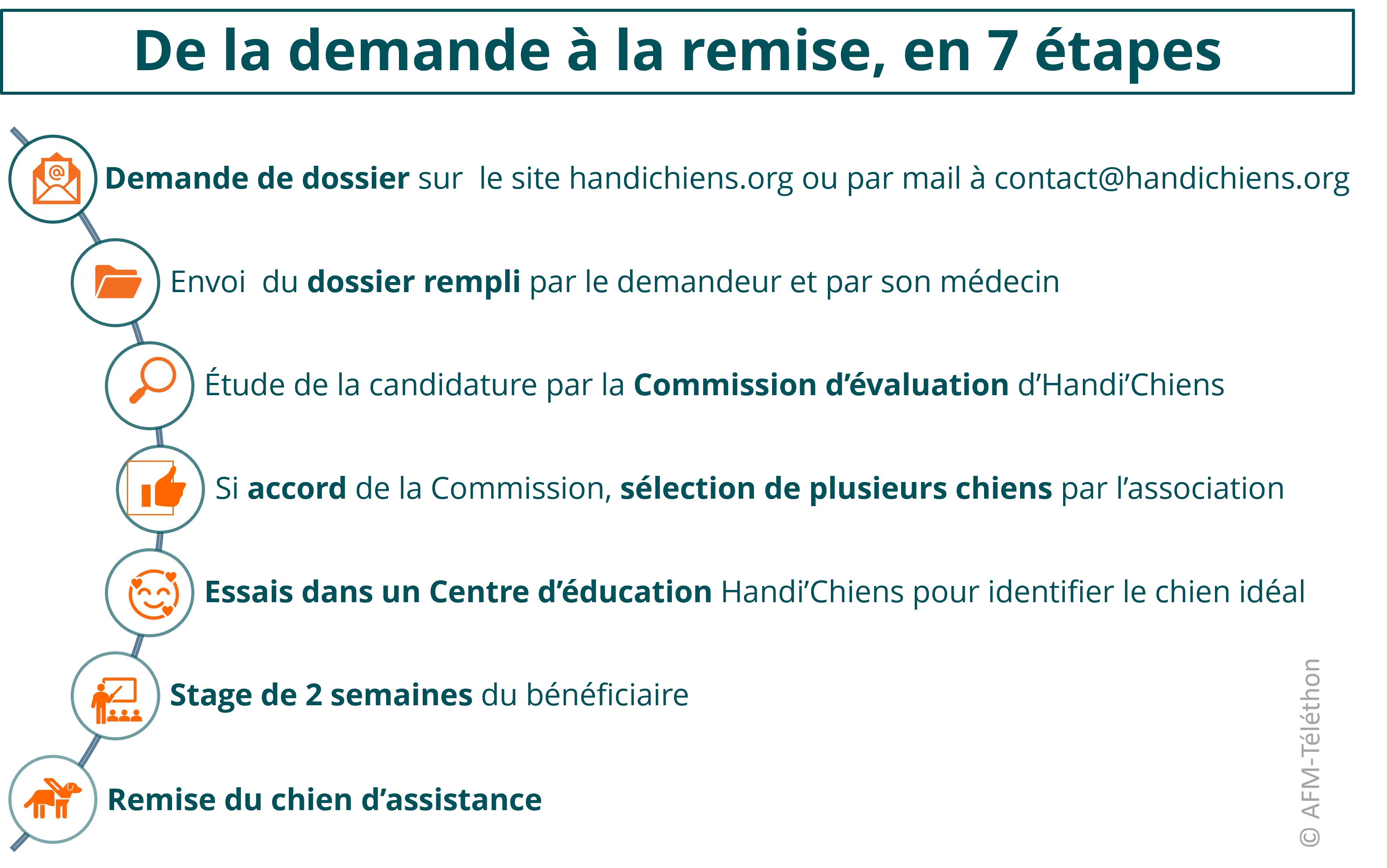 infographie : De la demande à la remise, en 7 étapes - 1. Demande de dossier sur  le site handichiens.org ou par mail à contact@handichiens.org - 2. Envoi  du dossier rempli par le demandeur et par son médecin - 3. Étude de la candidature par la Commission d’évaluation d’Handi’Chiens - 4.Si accord de la Commission, sélection de plusieurs chiens par l’association - 5. Essais dans un Centre d’éducation Handi’Chiens pour identifier le chien idéal - 6. Stage de 2 semaines du bénéficiaire - 7. Remise du chien