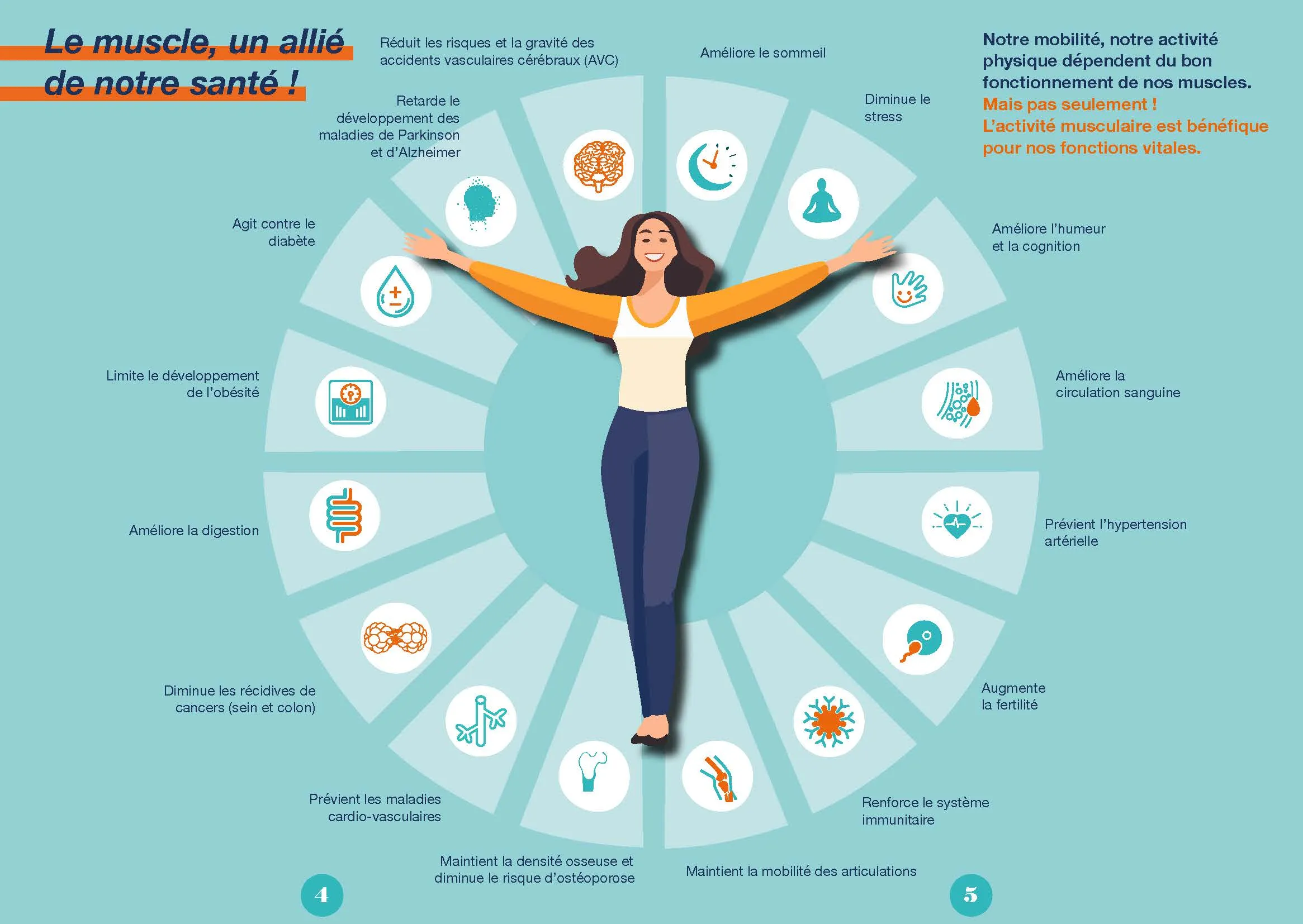 Le muscle, un allié de notre santé ! 