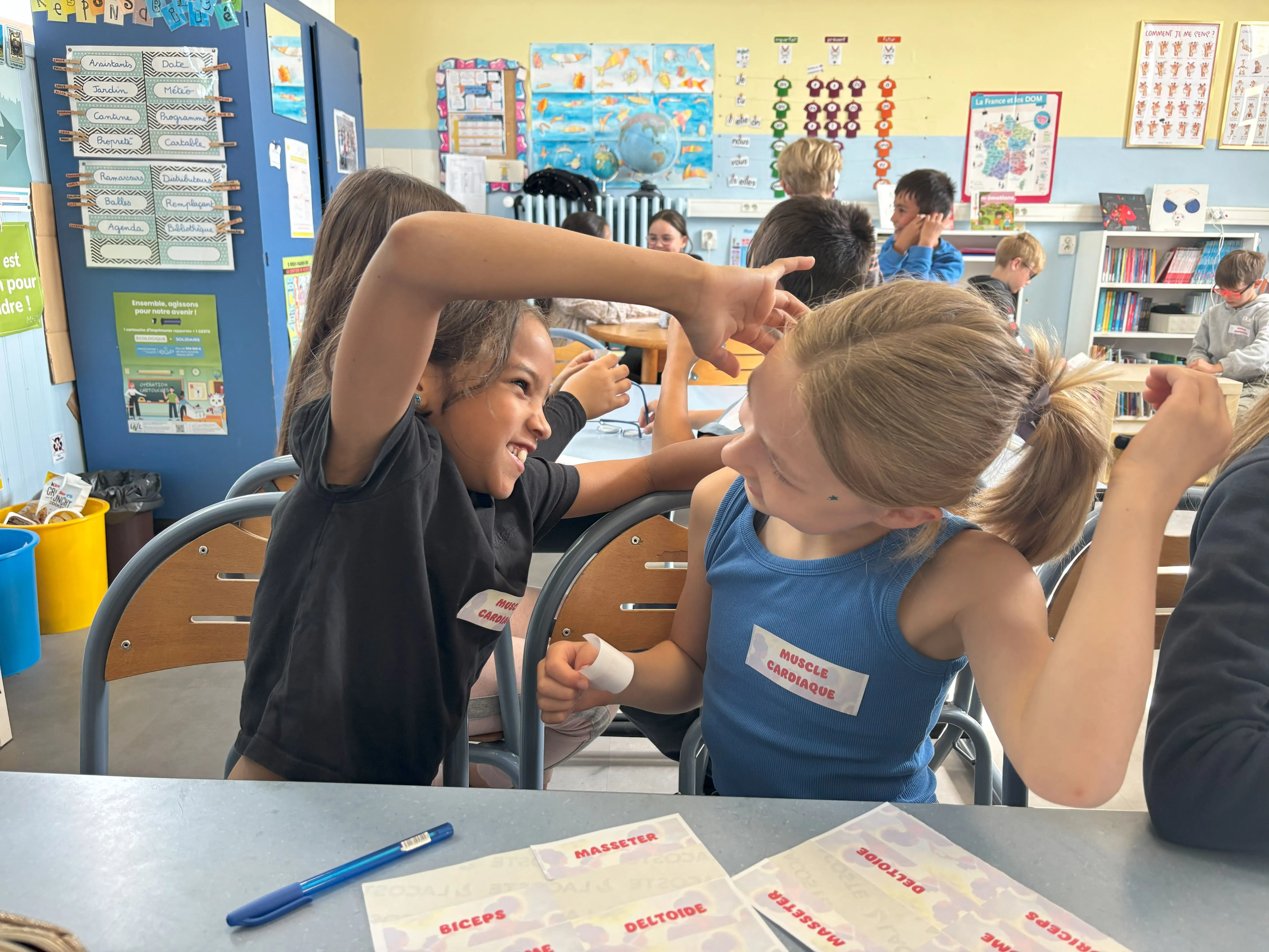"Les élèves ont localisé les muscles du corps humain en s’amusant à les identifier sur eux-mêmes et leurs camarades."