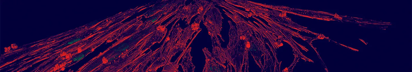Vignette révolution de la myologie
