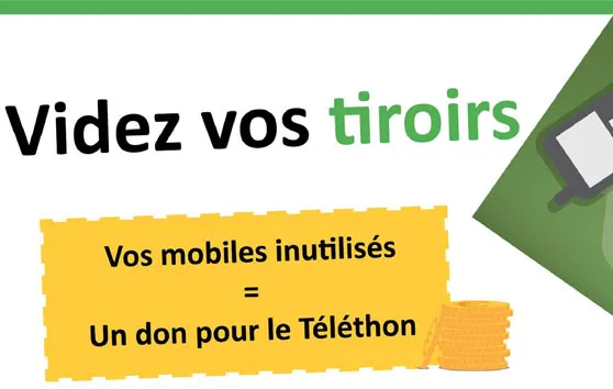 afm_telethon_partenaire_telethon2012_bak2