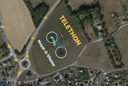 champ TDF