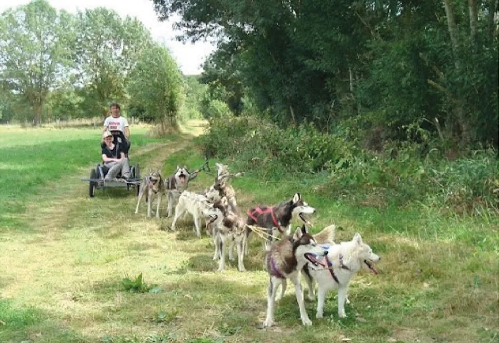 Semaines Th matiques Autour De La Nature Et Des Animaux Aux Villages semaines-th-matiques-autour-de-la-nature-et-des-animaux-aux-villages