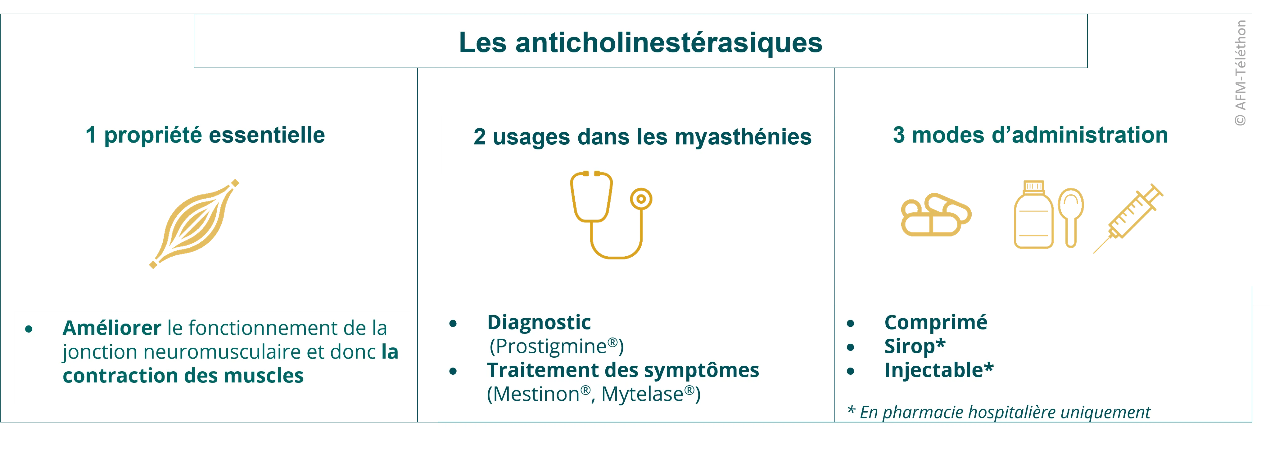 Infographie - Les anticholinestérasiques