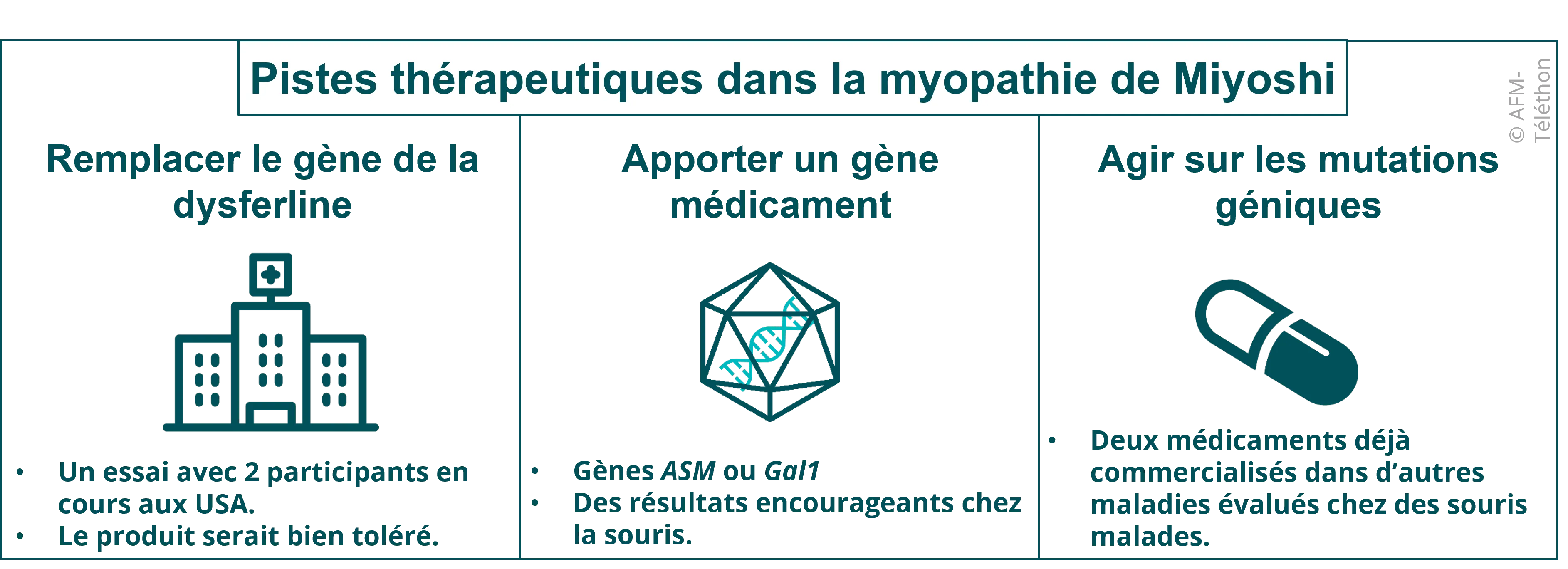 Infographie - Pistes thérapeutiques dans la myopathie de Miyoshi (dysferline)