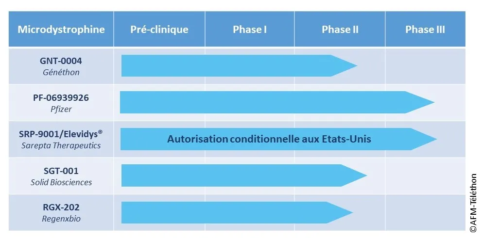 Cette image présente les 5 microdystrophines en développement clinique : GNT-0004 (laboratoire Genethon), PF-06939926 (Laboratoire Pfizer), SRP-9001 (Laboratoire Sarepta Therapeutics), SGT-001 (Laboratoire Solid Biosciences), RGX-202 (Laboratoire Regenxbio)