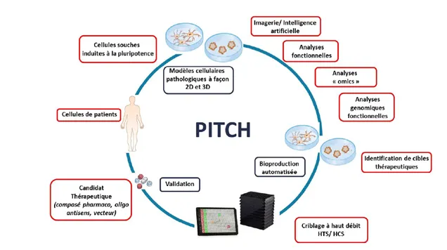 Plateforme_Pitch_Istem