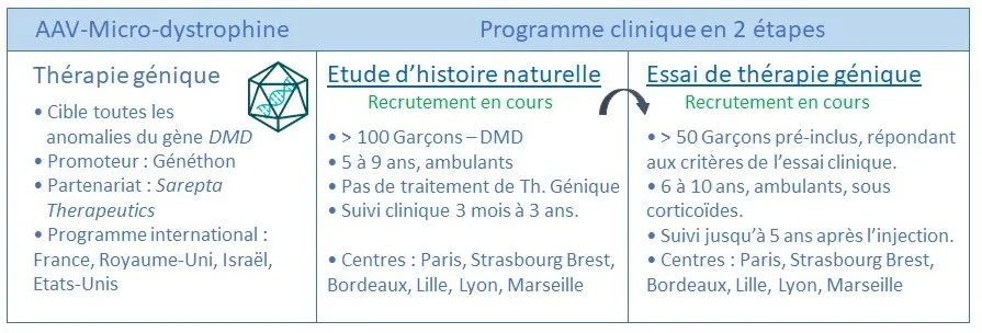 schéma déroulement programme microdystrophine